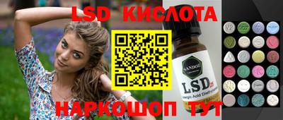 шишки Лесосибирск