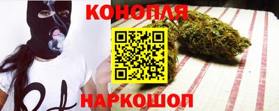 шишки Лесосибирск