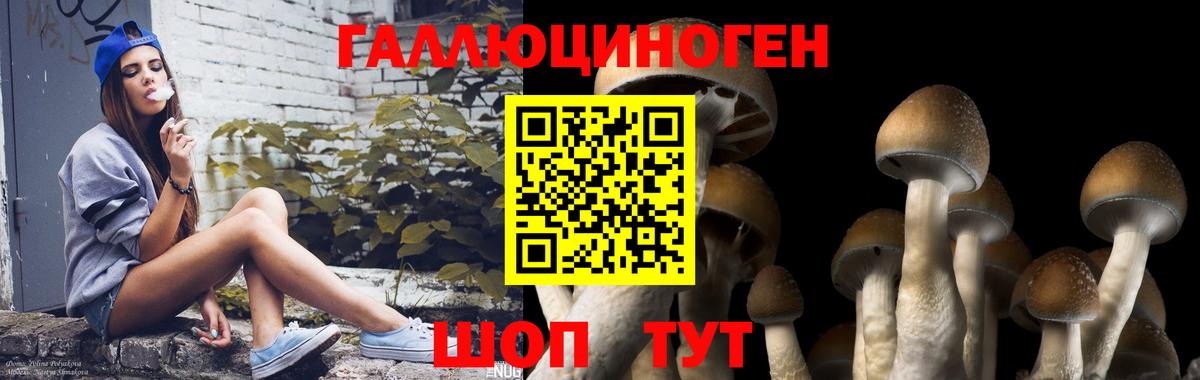 Энгельс  Галлюциногенные грибы GOLDEN TEACHER  Вход с VPN 
